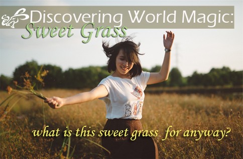 Why We Use Sweet Grass