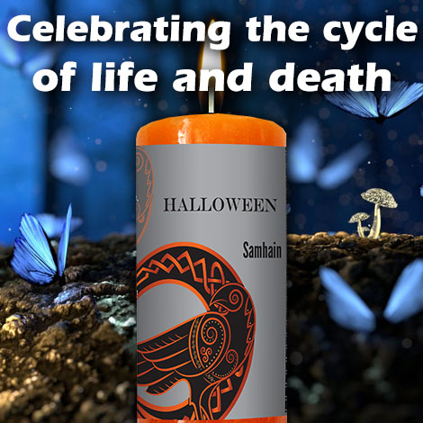 Celebrating the Cycle of life
