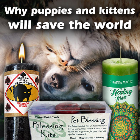 HM why puppies and kittens will save the world