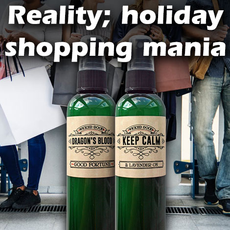 WS blog 2 Reality holiday shopping mania